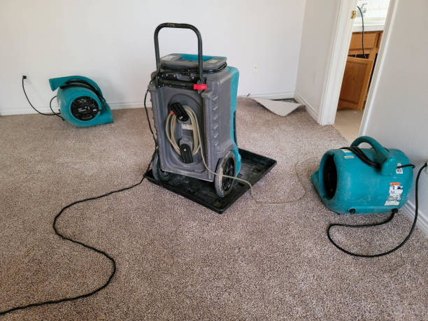 Best Water damage restoration cost  in King George, VA