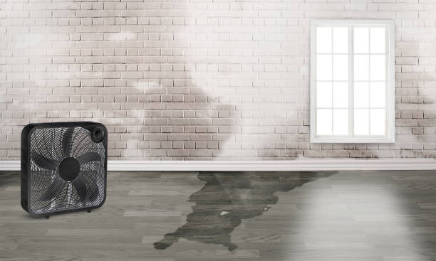Professional Water damage restoration in King George, VA