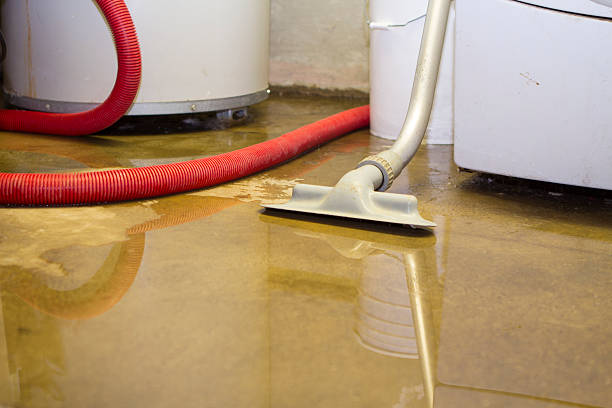 Best Carpet water damage restoration  in King George, VA