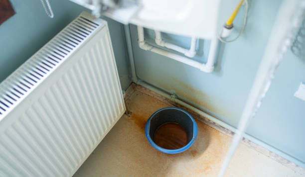 Best Flood damage cleanup  in King George, VA