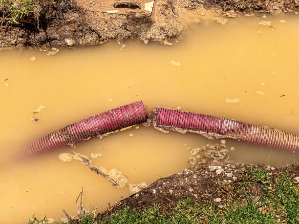 Best Water damage contractors near me  in King George, VA